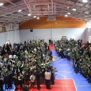 Celebración de Ramos